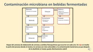 Contaminación microbiana en bebidas fermentadas
Etapas del proceso de elaboración de cerveza y cambios fisicoquímicos que ocurren en cada uno. En rojo se resalta
la parte del proceso donde el mosto y la cerveza son más vulnerables a la contaminación bacteriana ya que después
de la ebullición el mosto queda efectivamente estéril
 