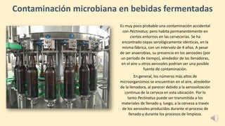 Contaminación microbiana en bebidas fermentadas
Es muy poco probable una contaminación accidental
con Pectinatus; pero habita permanentemente en
ciertos entornos en las cervecerías. Se ha
encontrado cepas serológicamente idénticas, en la
misma fábrica, con un intervalo de 4 años. A pesar
de ser anaerobias, su presencia en los aerosoles (por
un período de tiempo), alrededor de las llenadoras,
en el aire u otros aerosoles podrían ser una posible
fuente de contaminación.
En general, los números más altos de
microorganismos se encuentran en el aire, alrededor
de la llenadora, al parecer debido a la aerosolización
continua de la cerveza en esta ubicación. Por lo
tanto Pectinatus puede ser transmitida a los
materiales de llenado y, luego, a la cerveza a través
de los aerosoles producidos durante el proceso de
llenado y durante los procesos de limpieza.
 