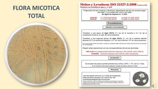 FLORA MICOTICA
TOTAL
 