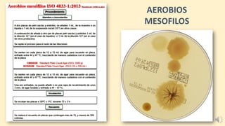 AEROBIOS
MESOFILOS
 