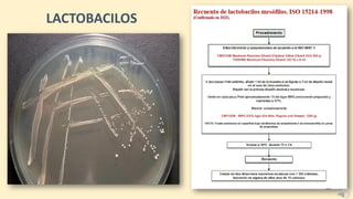 LACTOBACILOS
 