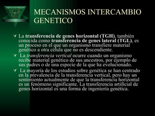 MECANISMOS INTERCAMBIO GENETICO La  transferencia de genes horizontal (TGH) , también conocida como  transferencia de genes lateral (TGL) , es un proceso en el que un organismo transfiere material genético a otra célula que no es descendiente. La  transferencia vertical  ocurre cuando un organismo recibe material genético de sus ancestros, por ejemplo de sus padres o de una especie de la que ha evolucionado. La mayoría de los estudios sobre genética se han centrado en la prevalencia de la transferencia vertical, pero hay un sentimiento actualmente de que la transferencia horizontal es un fenómeno significante. La transferencia artificial de genes horizontal es una forma de ingeniería genética.  
