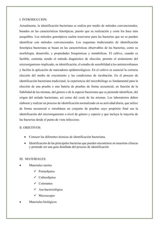 I. INTRODUCCION:
Actualmente, la identificación bacteriana se realiza por medio de métodos convencionales,
basados en las características fenotípicas, puesto que su realización y coste los hace más
asequibles. Los métodos genotípicos suelen reservarse para las bacterias que no se pueden
identificar con métodos convencionales. Los esquemas tradicionales de identificación
fenotípica bacteriana se basan en las características observables de las bacterias, como su
morfología, desarrollo, y propiedades bioquímicas y metabólicas. El cultivo, cuando es
factible, continúa siendo el método diagnóstico de elección; permite el aislamiento del
microorganismo implicado, su identificación, el estudio de sensibilidad a los antimicrobianos
y facilita la aplicación de marcadores epidemiológicos. En el cultivo es esencial la correcta
elección del medio de crecimiento y las condiciones de incubación. En el proceso de
identificación bacteriana tradicional, la experiencia del microbiólogo es fundamental para la
elección de una prueba o una batería de pruebas de forma secuencial, en función de la
fiabilidad de las mismas, del género o de la especie bacteriana que se pretende identificar, del
origen del aislado bacteriano, así como del coste de las mismas. Los laboratorios deben
elaborar y realizar un proceso de identificación normalizado en su actividad diaria, que utilice
de forma secuencial o simultánea un conjunto de pruebas cuyo propósito final sea la
identificación del microorganismo a nivel de género y especie y que incluya la mayoría de
las bacterias desde el punto de vista infeccioso.
II. OBJETIVOS:
• Conocer las diferentes técnicas de identificación bacteriana.
• Identificación de las principales bacterias que pueden encontrarse en muestras clínicas
y pretende ser una guía detallada del proceso de identificación
III. MATERIALES:
• Materiales inertes
✓ Portaobjetos
✓ Cubreobjetos
✓ Colorantes
✓ Asa bacteriológica
✓ Microscopio
• Materiales biológicos
 
