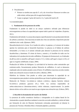 ➢ Procedimiento:
✓ Primero se siembra una cepa de E. coli y de Acinetobater Baumanni en tubos con
caldo nitrato; utilizar para ello la aguja bacteriológica
✓ Luego se agregan 3 gotas del reactivo A y 3 gotas del reactivo B
V.CUESTIONARIO:
1. Fundamento de los procesos de arriba
Fundamento la prueba de indol es un ensayo cualitativo utilizado para diferenciar
microorganismos en base a la capacidad para separar indol a partir de l-triptofano. (Expósito,
2011).
Fundamentos del método: La ureasa descompone específicamente la urea produciendo dióxido
de carbono y amoníaco. Este reacciona en medio alca- lino con salicilato e hipoclorito para dar
indofenol color verde. (Quintero, 2003).
Descarboxilación de la Lisina: En el medio de cultivo, la peptona y el extracto de levadura
aportan los nutrientes para el desarrollo bacteriano. La glucosa es el hidrato de carbono
fermentable y la lisina es el sustrato utilizado para detectar la presencia de las enzimas
decarboxilasa y deaminasa. El citrato de hierro y amonio y el tiosulfato de sodio son los
indicadores de la producción de ácido sulfhídrico. El purpura de bromocresol, es el indicador
de pH (su color es amarillo a pH igual o menor a 5.2 y violeta a pH igual o mayor a 6.8) y el
agar es el agente solidificante. (López, 2008).
Producción de Sulfuro de hidrógeno: La actividad de las bacterias sobre aminoácidos que
contienen azufre, frecuentemente produce liberación de sulfhídrico, lo cual se demuestra
empleando sales de metales pesados como el hierro. El sulfhídrico reacciona con tales metales
dando una coloración oscura al medio de cultivo. (Benítez, 2008).
Hidrólisis de Gelatina: Esta prueba se utiliza para determinar la capacidad de un
microorganismo para producir enzimas proteolíticas que licúan la gelatina (gelatinasas).
Reducción de Nitratos: Los nitratos se reducen a nitritos y algunas bacterias reducen
los nitritos a productos gaseosos (N2 y N2O). Las enzimas responsables de
ambas reducciones se denominan nitrato y nitrito reductasa, respectivamente. La prueba
detecta nitritos en los cultivos con reactivos que originan una coloración roja. (Cabrera, 2003).
2. Describir la formulación del reactivo de Ehrlich
La presencia de anillos aromáticos fenólicos o nitrogenados en la cadena lateral de los
Aminoácidos se puede identificar mediante la reacción con ácido sulfanílico y nitrito de Sodio
por formación de sales de Diazonio fuertemente coloreadas permitiendo así detectar la
presencia de Tirosina e Histidina libres o formando péptidos y proteínas.
 