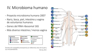 IV. Microbioma humano
- Proyecto microbioma humano 2007
- Nariz, boca, piel, intestino y vagina
de voluntarios humanos
- Genes del RNA ribosomal 16S
- Más diverso intestino / menos vagina
Distribución topográfica de bacterias en diferentes sitios de la piel y
sus microambientes Murray, 2021
 