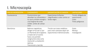 I. Microscopía
TIPO DE MICROSCOPÍA FUNDAMENTO MAGNIFICACIÓN DE IMAGEN LIMITACIONES
Fluorescencia Fluorocromos que
absorben luz ultravioleta o
luz azul y emiten energía a
una longitud de onda
visible. Lentes de campo
claro
Especímenes brillantes
magnificados a color contra un
fondo negro
Tinción obligada de
especímenes
Costo
Tintes peligrosos
Electrónica Bobinas magnéticas,
dirigen el haz de luz por
un filamento de tungsteno
a través de la muestra
hacia una pantalla
Longitud de onda corta
resolución y ampliación
óptimas
Transmisión y barrido
Tinción con iones metálicos
para crear contraste dejan ver
especímenes tridimensionales
Costo
Manejo
Investigación
 