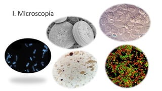 I. Microscopía
 