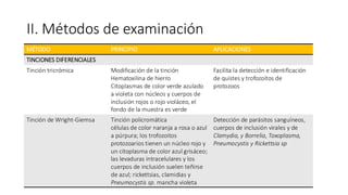 II. Métodos de examinación
MÉTODO PRINCIPIO APLICACIONES
TINCIONES DIFERENCIALES
Tinción tricrómica Modificación de la tinción
Hematoxilina de hierro
Citoplasmas de color verde azulado
a violeta con núcleos y cuerpos de
inclusión rojos o rojo violáceo, el
fondo de la muestra es verde
Facilita la detección e identificación
de quistes y trofozoítos de
protozoos
Tinción de Wright-Giemsa Tinción policromática
células de color naranja a rosa o azul
a púrpura; los trofozoitos
protozoarios tienen un núcleo rojo y
un citoplasma de color azul grisáceo;
las levaduras intracelulares y los
cuerpos de inclusión suelen teñirse
de azul; rickettsias, clamidias y
Pneumocystis sp. mancha violeta
Detección de parásitos sanguíneos,
cuerpos de inclusión virales y de
Clamydia, y Borrelia, Toxoplasma,
Pneumocystis y Rickettsia sp
 
