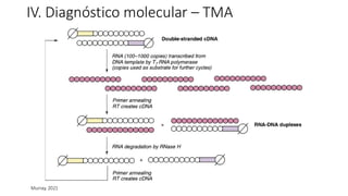 IV. Diagnóstico molecular – TMA
Murray, 2021
 