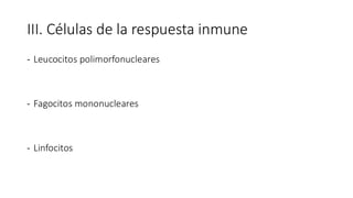 III. Células de la respuesta inmune
- Leucocitos polimorfonucleares
- Fagocitos mononucleares
- Linfocitos
 