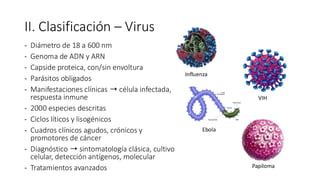 II. Clasificación – Virus
- Diámetro de 18 a 600 nm
- Genoma de ADN y ARN
- Capside proteica, con/sin envoltura
- Parásitos obligados
- Manifestaciones clínicas ➝ célula infectada,
respuesta inmune
- 2000 especies descritas
- Ciclos líticos y lisogénicos
- Cuadros clínicos agudos, crónicos y
promotores de cáncer
- Diagnóstico ➝ sintomatología clásica, cultivo
celular, detección antígenos, molecular
- Tratamientos avanzados
Influenza
Ebola
VIH
Papiloma
 