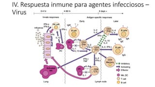 IV. Respuesta inmune para agentes infecciosos –
Virus
 
