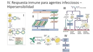 IV. Respuesta inmune para agentes infecciosos –
Hipersensibilidad
I II
III
IV
 