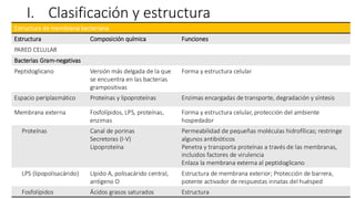 I. Clasificación y estructura
Estructura de membrana bacteriana
Estructura Composición química Funciones
PARED CELULAR
Bacterias Gram-negativas
Peptidoglicano Versión más delgada de la que
se encuentra en las bacterias
grampositivas
Forma y estructura celular
Espacio periplasmático Proteínas y lipoproteínas Enzimas encargadas de transporte, degradación y síntesis
Membrana externa Fosfolípidos, LPS, proteínas,
enzimas
Forma y estructura celular, protección del ambiente
hospedador
Proteínas Canal de porinas
Secretoras (I-V)
Lipoproteína
Permeabilidad de pequeñas moléculas hidrofílicas; restringe
algunos antibióticos
Penetra y transporta proteínas a través de las membranas,
incluidos factores de virulencia
Enlaza la membrana externa al peptidoglicano
LPS (lipopolisacárido) Lípido A, polisacárido central,
antígeno O
Estructura de membrana exterior; Protección de barrera,
potente activador de respuestas innatas del huésped
Fosfolípidos Ácidos grasos saturados Estructura
 
