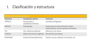 I. Clasificación y estructura
Estructura de membrana bacteriana
Estructura Composición química Funciones
CÁPSULA Polisacáridos o
polipéptidos (Anthrax)
Actividad antifagocítica
BIOFILM Polisacáridos Protección de la colonia frente al medio,
antimicrobiano, activa respuesta inmunitaria
PILI Pilin, adhesinas adhesión Adherencia, pili sexual
FLAGELO Motor de proteínas, flagelinas Movimiento, quimiotaxis
PROTEÍNAS Proteína M (estreptocócica) Evasión inmune, adhesión, enzimáticas, etc
 