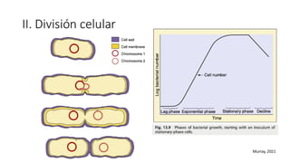 II. División celular
Murray, 2021
 