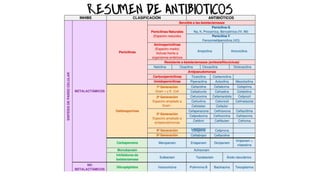 MICROBIOLOGÍA BASICAI_2024_PARCIAL_I.pdf