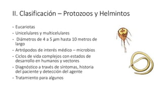 II. Clasificación – Protozoos y Helmintos
- Eucariotas
- Unicelulares y multicelulares
- Diámetros de 4 a 5 𝜇m hasta 10 metros de
largo
- Artrópodos de interés médico – microbios
- Ciclos de vida complejos con estados de
desarrollo en humanos y vectores
- Diagnóstico a través de síntomas, historia
del paciente y detección del agente
- Tratamiento para algunos
 