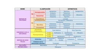 MICROBIOLOGÍA BASICAI_2024_PARCIAL_I.pdf