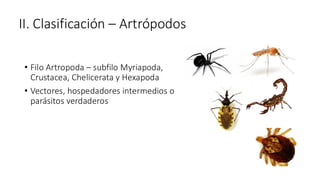 • Filo Artropoda – subfilo Myriapoda,
Crustacea, Chelicerata y Hexapoda
• Vectores, hospedadores intermedios o
parásitos verdaderos
II. Clasificación – Artrópodos
 