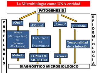 La Microbiología como UNA entidad
¿Cuándo?
PATOGÉNESIS
¿Dónde? ¿Cómo?
P
R
O
F
I
L
A
X
I
S
¿Qué?
Directo
(Microorganismo)
vs.
Indirecto
(Rta. Inmune)
Método
Localizada
vs.
Diseminada
TOMA DE
MUESTRA
Técnica
Temporalidad
de la infección
DIAGNÓSTICO MICROBIOLOGICO
E
P
I
D
E
M
I
O
L
O
G
Í
A
 