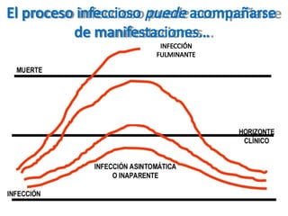 El proceso infeccioso puede acompañarse
de manifestaciones…
INFECCIÓN FULMINANTE
INFECCION FRUSTRADA
o
INCOMPLETA
INFECCIÓN
FULMINANTE
 