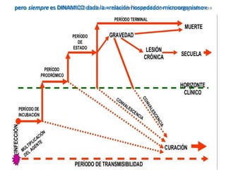 pero siempre es DINAMICO dada la «relación hospedador-microorganismo»
 