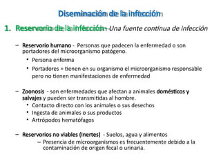 Diseminación de la infección
1. Reservorio de la infección- Una fuente continua de infección
– Reservorio humano - Personas que padecen la enfermedad o son
portadores del microorganismo patógeno.
• Persona enferma
• Portadores = tienen en su organismo el microorganismo responsable
pero no tienen manifestaciones de enfermedad
– Zoonosis - son enfermedades que afectan a animales domésticos y
salvajes y pueden ser transmitidas al hombre.
• Contacto directo con los animales o sus desechos
• Ingesta de animales o sus productos
• Artrópodos hematófagos
– Reservorios no viables (Inertes) - Suelos, agua y alimentos
– Presencia de microorganismos es frecuentemente debido a la
contaminación de origen fecal o urinaria.
 