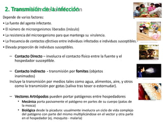 – Contacto Directo – involucra el contacto físico entre la fuente y el
hospedador susceptible.
– Contacto Indirecto - transmisión por fomites (objetos
inanimados)
Incluye la transmisión por medios tales como agua, alimentos, aire, y otros
como la transmisión por gotas (saliva tras toser o estornudar).
– Vectores Artrópodos pueden portar patógenos entre hospedadores
• Mecánica porta pasivamente el patógeno en partes de su cuerpo (patas de
la mosca)
• Biológica desde la picadura: usualmente involucra un ciclo de vida complejo
del patógeno con parte del mismo multiplicándose en el vector y otra parte
en el hospedador (ej. mosquito - malaria)
2. Transmisión de la infección
 