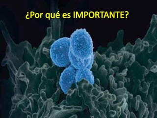 ¿Por qué es IMPORTANTE?
 