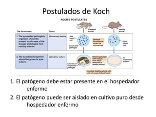 Postulados de Koch
1. El patógeno debe estar presente en el hospedador
enfermo
2. El patógeno puede ser aislado en cultivo puro desde
hospedador enfermo
 