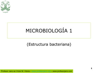 MICROBIOLOGÍA 1 (Estructura bacteriana) 