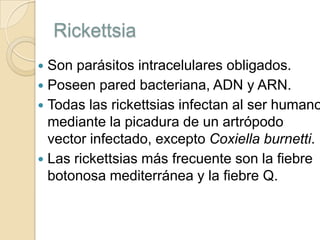 Rickettsia

Son parásitos intracelulares obligados.
 Poseen pared bacteriana, ADN y ARN.
 Todas las rickettsias infectan al ser humano
mediante la picadura de un artrópodo
vector infectado, excepto Coxiella burnetti.
 Las rickettsias más frecuente son la fiebre
botonosa mediterránea y la fiebre Q.


 