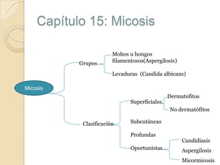 Capítulo 15: Micosis
Grupos

Mohos u hongos
filamentosos(Aspergilosis)
Levaduras (Candida albicans)

Micosis
Superficiales

Dermatofitos
No dermatófitos

Clasificación

Subcutáneas
Profundas
Oportunistas

Candidiasis
Aspergilosis
Micormicosis

 