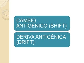 CAMBIO
ANTIGENICO (SHIFT)
DERIVA ANTIGÉNICA
(DRIFT)

 