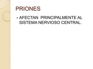 PRIONES


AFECTAN PRINCIPALMENTE AL
SISTEMA NERVIOSO CENTRAL.

 