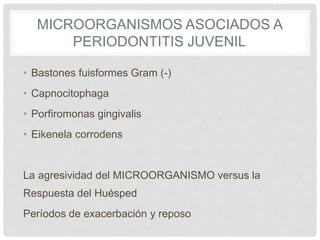 MICROORGANISMOS ASOCIADOS A
PERIODONTITIS JUVENIL
• Bastones fuisformes Gram (-)
• Capnocitophaga
• Porfiromonas gingivalis
• Eikenela corrodens
La agresividad del MICROORGANISMO versus la
Respuesta del Huésped
Períodos de exacerbación y reposo
 
