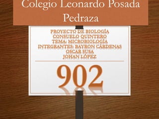 Colegio Leonardo Posada
Pedraza
 