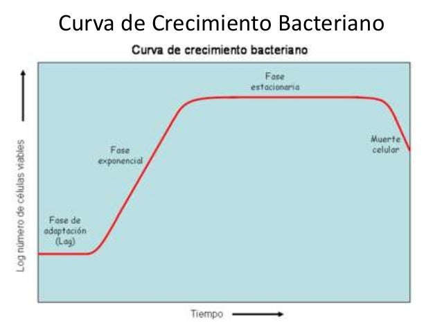 Microbiolog a microbiolog-a