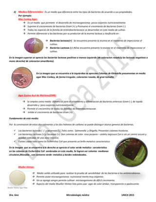 Dra. Gea Microbiología médica UNICA 2015
2) Medios Diferenciales: Es un medio que diferencia entre los tipos de bacterias de acuerdo a sus propiedades.
Por ejemplo:
Mac Conkey Agar:
 Es un medio que permiete el desarrollo de microorganismos pocos exijentes nutricionalmente.
 Suprime el creciemineto de bacterias Gram (+) y Promueve el cresimiento de bacterias Gram (-).
 Todas las especies de la familia de enterobacteriaceace se desarrollan en este medio de cultivo.
 Permite diferenciar a las bacterias por su producion de la enzima lactosa y clasificarla en :
 Bacterias lactosas(+) : Se encuentra presente la enzima en el momento de impeccionar el
cultivo.
 Bacterias Lactosas (-) :NOse encuentra presente la enzima en el moemnto de impeccionar el
cultivo.
En la imagen superior se aprecia las bacterias lactosas positivas a manoo izquierda (de coloracion rosada)y las lactosas negativas a
mono derecha( de coloracion amarillenta).
En La imagen que se encuentra a la Izquierdaa se aprecian Colonias de Klebsiella pneumoniae en medio
agar Mac Conkey, de forma irregular, coloracion rosada, de gran tamaño.
Agar Eosina Azul de Metileno(EMB):
 Se emplea como medio diferencial para el aislamiento y difereciacion de bacterias entericas Gram (-), de rapido
desarrollo y poco exijentes nutricionalmente.
 Permite el creciemitno de todas las familias de Enterobacteriaceae.
 Inhibe el crecimiento de bacterias Gram (+).
Fundamento de este medio:
Por la convinacion de estos dos colorantes y los dos hidratos de carbono se puede distinguir alunos generos de bacterias.
 Las bacterias lactosas ( -) y sacarosas (-) ,Tales como : Salmonella y Shigella, Presentan colonias Incoloras.
 Las bacterias Lactosas (+) y Sacarosa (+): Dan colonias de color rosa purpura – violeta negrusco Con o sin un centro oscuro y
quedan rodeadas de una zona incolora.
 Existes cepas tales como la Escherichia Coli que presenta un brillo metalico caracteristico
En la imagen que se encuentra a la derecha se aprecia el color verde metalico carcateristico
en las colonias de Escherichia Coli sembradas en este medio, Se logran ver colonias medianas
circulares,Moradas , con contorno verde- metalico y bordes redondeados.
Miuller Hinton:
 Medio solido utilizado para realizar la prueba de sensibilidad de las bacterias a los antimicrobianos.
 Permite aislar microorganismos nutricional mente muy exijentes.
 Sin se agrega sangre permite cultivar microorganismo de dificil crecimiento.
 Aspecto del medio Mueller-Hinton listo para usar: agar de color ámbar, transparente a opalescente.
 