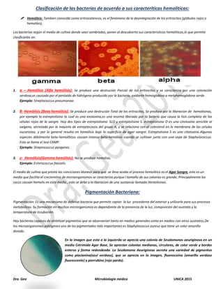 Dra. Gea Microbiología médica UNICA 2015
Clasificación de las bacterias de acuerdo a sus caracteriticas hemoliticas:
 Hemólisis: Tambien conocida como eritrocateresis, es el fenómeno de la desintegración de los eritrocitos (glóbulos rojos o
hematíes).
Las bacterias según el medio de cultivo donde sean sembradas, ponen al descubierto sus caracteristicas hemóliticas,lo que permite
clasificarlas en:
1. α – Hemólisis (Alfa hemólisis): Se produce una destrución Parcial de los eritrocitos y se caracteriza por una coloración
verdosa,es causada por el peróxido de hidrógeno producido por la bacteria, oxidante hemoglobina a metahemoglobina verde.
Ejemplo: Streptococcus pneumoniae.
2. β- Hemólisis (Beta hemólisis): Se produce una destrución Total de los eritrocitos, Se produce por la liberacion de hemolisinas,
por ejemplo la estreptolisina la cual es una exotoxina,es una enzima liberada por la bateria que causa la lisis completa de las
células rojas de la sangre. Hay dos tipos de estreptolisina: SLO y estreptolisina S. estreptolisina O es una citotoxina sensible al
oxígeno, secretada por la mayoría de estreptococos del grupo A, y se relaciona con el colesterol en la membrana de las células
eucariotas, y por lo general resulta en hemólisis bajo la superficie de agar sangre. Estreptolisina S es una citotoxina.Algunas
especies débilmente beta-hemolíticos causan intensa beta-hemólisis cuando se cultivan junto con una cepa de Staphylococcus.
Esto se llama el test CAMP.
Ejemplo: Streptococcus pyogenes.
3. γ- Hemólisis(Gamma hemólisis): No se produce hemolisis.
Ejemplo: Enterococcus faecalis.
El medio de cultivo que presta las conciciones idoneas para que se lleve acabo el proceso hemolitico es el Agar Sangre, este es un
medio que facilita el creciemitno de microorganismos se caracteriza porque l tamaño de sus colonias es grande; Principalmente los
cocos causan hemolis en este medio , esto se debe a la liberacion de una sustancia llamada Hemolisinas.
Pigmentación Bacteriana:
Pigmentación: Es una mecanismo de defensa bacteria que permite captar la luz procedente del exterior y utilizarla para sus procesos
metabolicos. Su formación en muchos microrganismos es dependiente de la presencia de la luz, composición del sustrato y la
temperatura de incubación.
Hay bacterias capaces de sintetizar pigmentos que se observarían tanto en medios generales como en medios con otros sustratos,De
los microorganismos patógenos uno de los pigmentados más importantes es Staphylococcus aureus que tiene un color amarillo
dorado.
En la imagen que esta a la izquierda se aprecia una colonia de Seudomonas aeuriginosa en un
medio Cetrimida Agar Base, Se aprecian colonias medianas, circulares, de color verde y bordes
enteros y forma redondeada. La Seudomona Aeuriginosa secreta una variedad de pigmentos
como piocianina(azul verdoso), que se aprecia en la imagen, fluoresceína (amarillo verdoso
fluorescente) y piorrubina (rojo pardo).
 