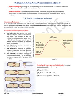 Dra. Gea Microbiología médica UNICA 2015
Clasificacion Bacteriana de acuerdo a su metabolismo Intermedio:
1. Bacterias Catabolicas:Degradan de los sustratos para la formación de energía utilizable. Es decir producen su energia
biologicamente util para llevar a cabo sus procesos metabolicos.
2. Bacterias Anabolicas: Utilizan la energía para la síntesis de componentes celulares.Es decir utilizan la energia
biologicamente util procedentes del medio externo donde se encuentran inmersas para llevar a cabo sus procesos
metabolicos.
Crecimiento y Reproducción Bacteriana:
Crecimiento Bacteriano: Aumento en la población celular de un microorganismo aislado, debido al proceso de división celular en
el que la célula se divide en dos células hijas, cada una de las cuales repite los procesos de división, esto se lleva a cabo mediante un
proceso denominado Fisión binaria. Dicho de otra forma el crecimiento bacteriano es una serie de pasos sucesivos denominados faces
en el que la célula original aumenta en número, no tamaño.
El crecimiento bacteriano se resume en 4 fases:
1) Fase de Latencia: Es un periodo en el que la
bacteria se adapta al medio y adsorbe nutrientes
para llevar a cabo la síntesis de ARN, ADN,
Proteínas, aumentado de tamaño dando inicio a
la fisión binaria; El tiempo requerido por las
bacterias para su crecimiento se denomina
Tiempo de Generación.
2) Fase Exponencial: Bacterias aumentan su
número poblacional.
3) Fase Estacionaria: Bacterias se mantiene
constantes en cuanto al número de cepas que
conforman la colonia.
4) Fase de Muerte: Las bacterias Disminuyen en
número poblacional debido a que las condiciones
del medio van dejando de ser apropiadas para
su habitad
Reproducción bacteriana por Fisión Binaria: Es un tipo de
reproducción asexual que origina los siguientes acontecimientos:
1) Elongación celular.
2) Replicación de ADN, ARN, Proteínas.
3) División celular, Bipartición ó Citocinesis.
 