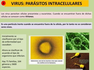 VIRUS: PARÁSITOS INTRACELULARES
Los virus parasitan células procariotas y eucariotas. Cuando se encuentran fuera de dichas
células se conocen como Viriones.
Es una partícula inerte cuando se encuentra fuera de la célula, por lo tanto no se consideran
seres vivos.
Inicialmente se
clasificaron por el tipo
de enfermedad que
causaban.
Ahora se clasifican de
acuerdo al tipo de
organismo que infectan.
Hay 71 familias, 164
géneros y 3600
especies.
P
 