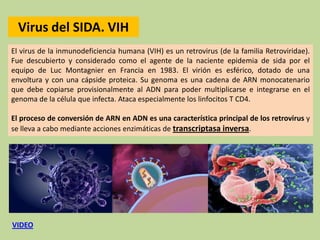 El virus de la inmunodeficiencia humana (VIH) es un retrovirus (de la familia Retroviridae).
Fue descubierto y considerado como el agente de la naciente epidemia de sida por el
equipo de Luc Montagnier en Francia en 1983. El virión es esférico, dotado de una
envoltura y con una cápside proteica. Su genoma es una cadena de ARN monocatenario
que debe copiarse provisionalmente al ADN para poder multiplicarse e integrarse en el
genoma de la célula que infecta. Ataca especialmente los linfocitos T CD4.
El proceso de conversión de ARN en ADN es una característica principal de los retrovirus y
se lleva a cabo mediante acciones enzimáticas de transcriptasa inversa.
Virus del SIDA. VIH
VIDEO
 
