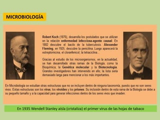 MICROBIOLOGÍA
En 1935 Wendell Stanley aísla (cristaliza) el primer virus de las hojas de tabaco
 