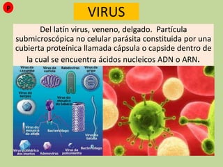 VIRUS
Del latín virus, veneno, delgado. Partícula
submicroscópica no celular parásita constituida por una
cubierta proteínica llamada cápsula o capside dentro de
la cual se encuentra ácidos nucleicos ADN o ARN.
P
 