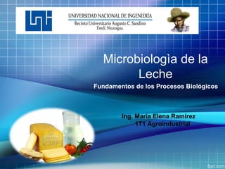 Microbiologìa de la
Leche
Fundamentos de los Procesos Biológicos
Ing. María Elena Ramírez
1T1 Agroindustrial
 