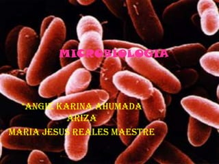 MICROBIOLOGIA *ANGIE KARINA AHUMADA ARIZA MARIA JESUS REALES MAESTRE 