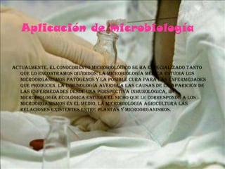 Aplicación de microbiologíaActualmente, el conocimiento microbiológico se ha especializado tanto que lo encontramos divididos: la microbiología médica estudia los microorganismos patógenos y la posible cura para las enfermedades que producen, la inmunología averigua las causas de la aparición de las enfermedades desde una perspectiva inmunológica, la microbiología ecológica estudia el nicho que le corresponde a los microorganismos en el medio, la microbiología agricultura las relaciones existentes entre plantas y microorganismos.
