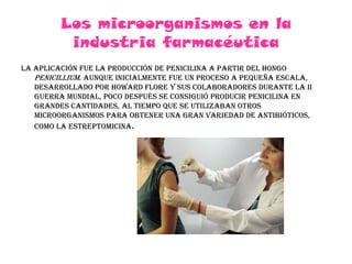Los microorganismos en la industria farmacéuticaLa aplicación fue la producción de penicilina a partir del hongo Penicillium. Aunque inicialmente fue un proceso a pequeña escala, desarrollado por Howard Flore y sus colaboradores durante la II Guerra Mundial, poco después se consiguió producir penicilina en grandes cantidades, al tiempo que se utilizaban otros microorganismos para obtener una gran variedad de antibióticos, como la estreptomicina.